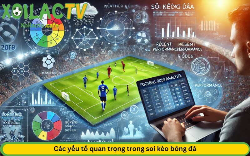 Các yếu tố quan trọng trong soi kèo bóng đá