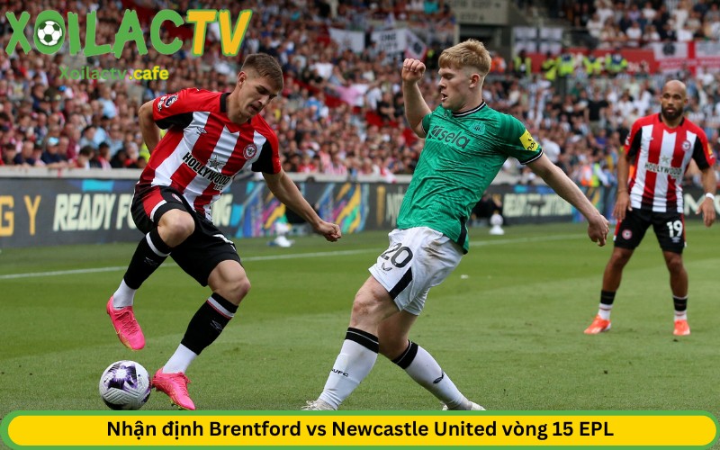 Brentford vs Newcastle United sẽ cống hiến cho khán giả trận đấu mãn nhãn