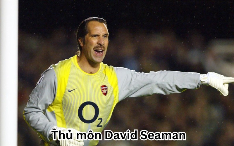 Thủ môn David Seaman